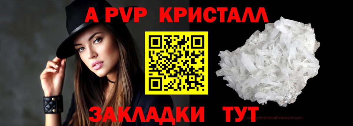 Альфа ПВП СК КРИС Краснодар