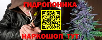 крисы Будённовск