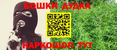 крисы Будённовск