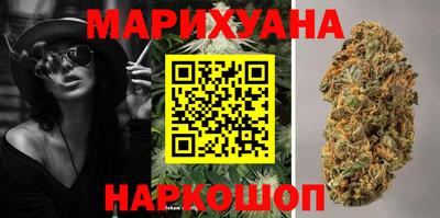 крисы Будённовск