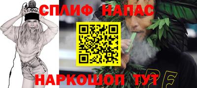 шишки Бузулук