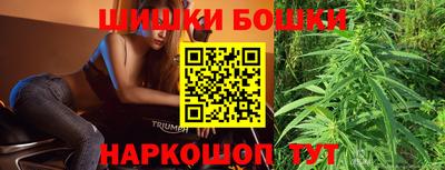 крисы Будённовск