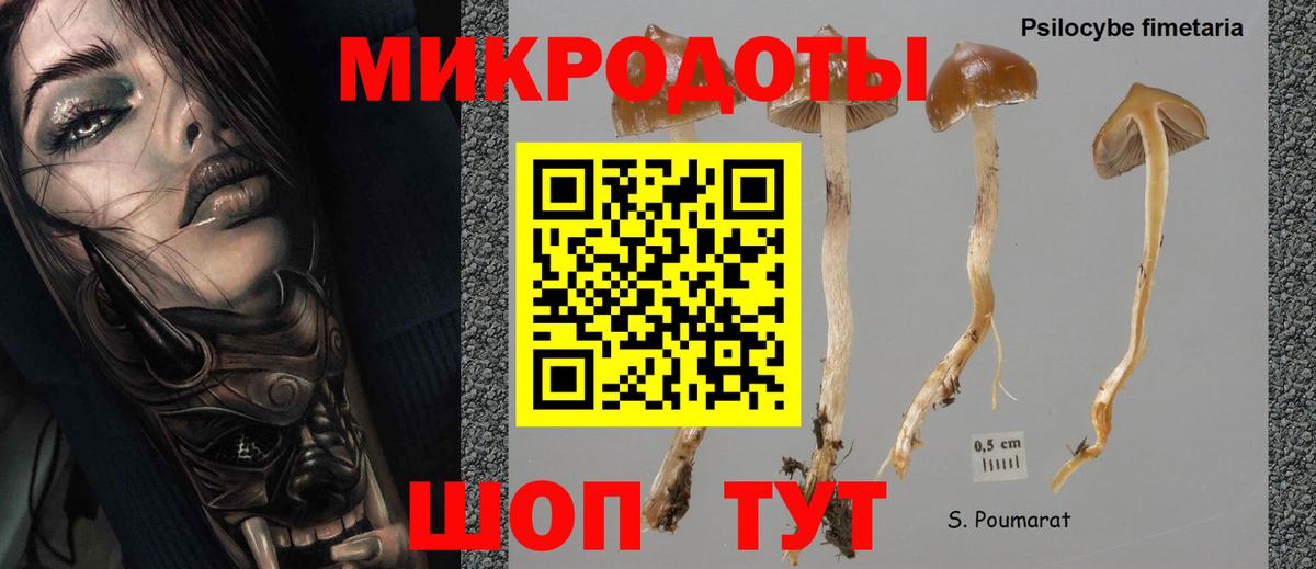 Псилоцибиновые грибы Cubensis Краснодар